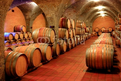 Weinkeller, Barrique - Fässer, Gewölbe, Toskana, Italien